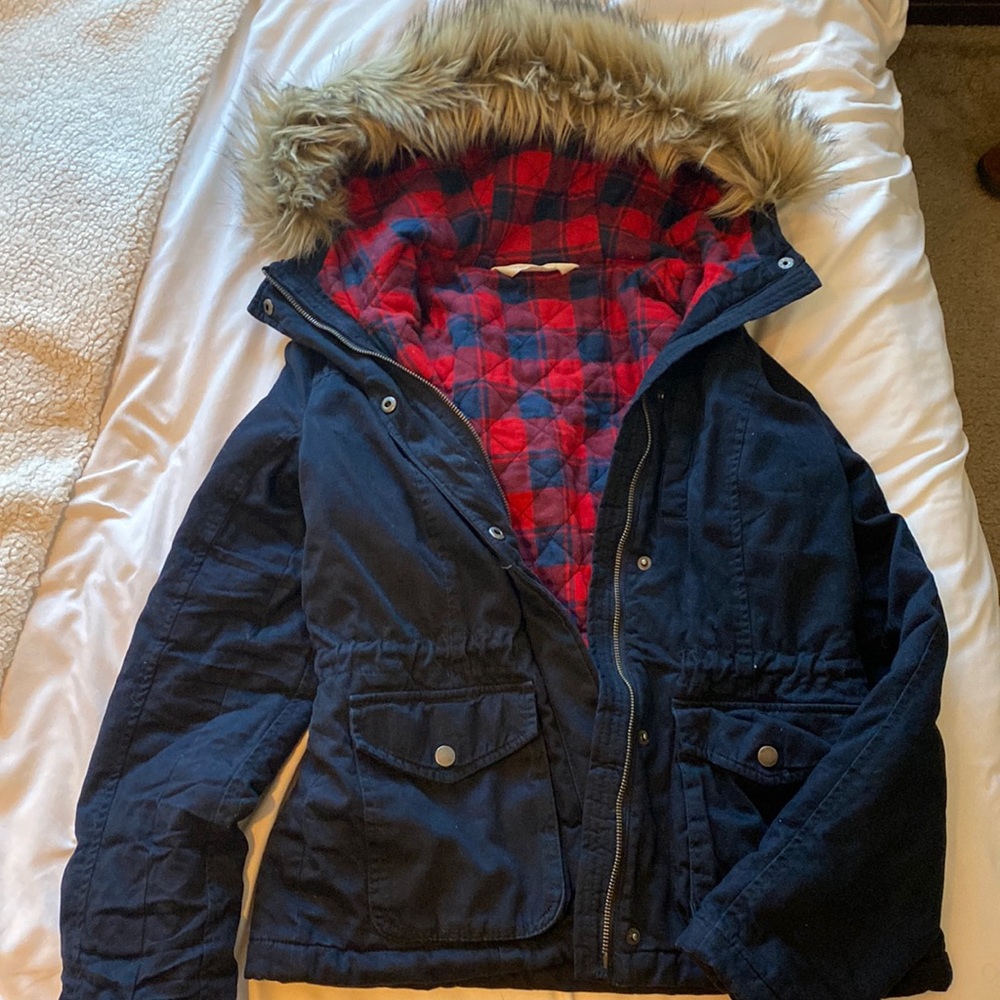 Hollister winter jacket